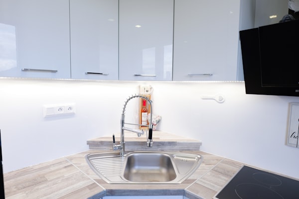 Modern kitchen sink with professional faucet